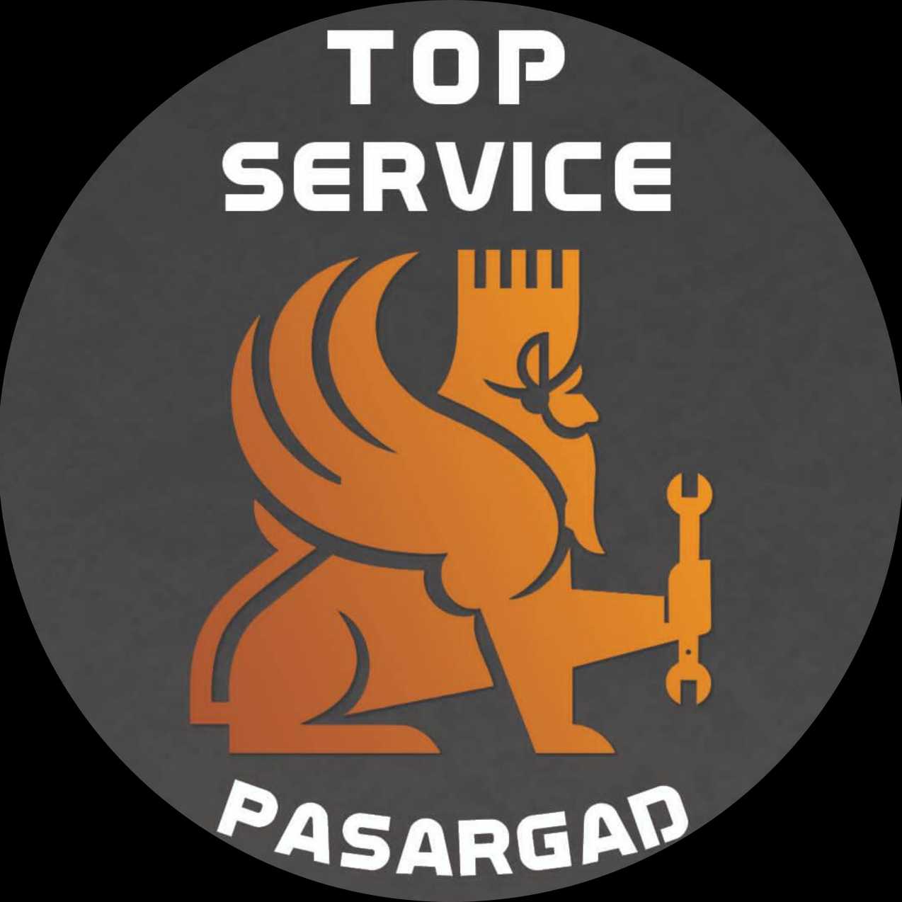 تاپ سرویس پاسارگاد